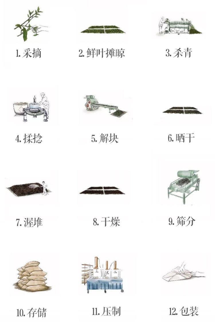 落水洞普洱茶(图2)